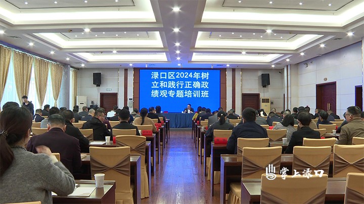 渌口区2024年树立正确政绩观培训结业图