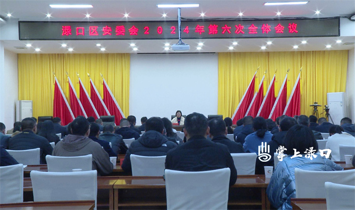 安委会2024第六次图1
