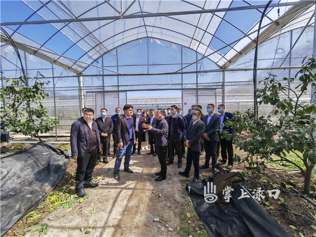 微信图片_20220309132252.jpg 微信图片_20220309132252.jpg