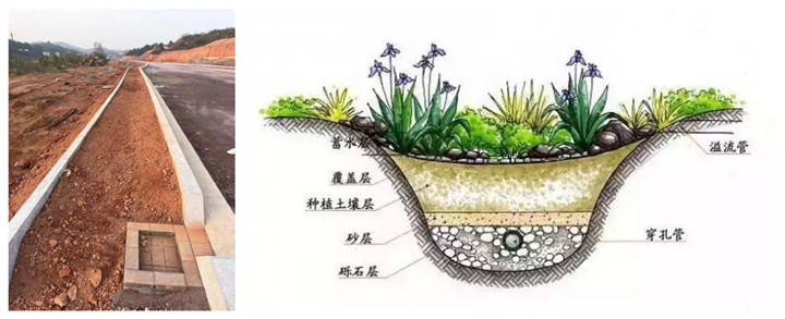 1693304130912_副本2.jpg 1693304130912_副本2.jpg