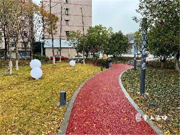 1695696610282.jpg 1695696610282.jpg